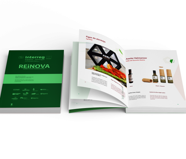 Book-Mock-Up-Reinova-768x512